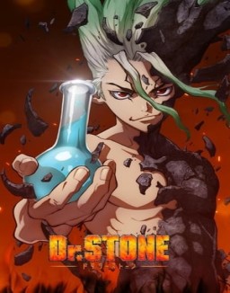 Dr. STONE saison 1