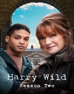 Harry Wild saison 2