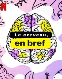 Le Cerveau, en bref