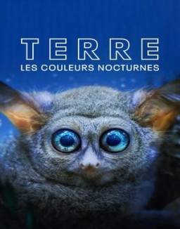 Terre : les couleurs nocturnes